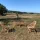Sofa and its two vintage rattan armchairs