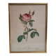Litho frame sparkling rose with double flowers