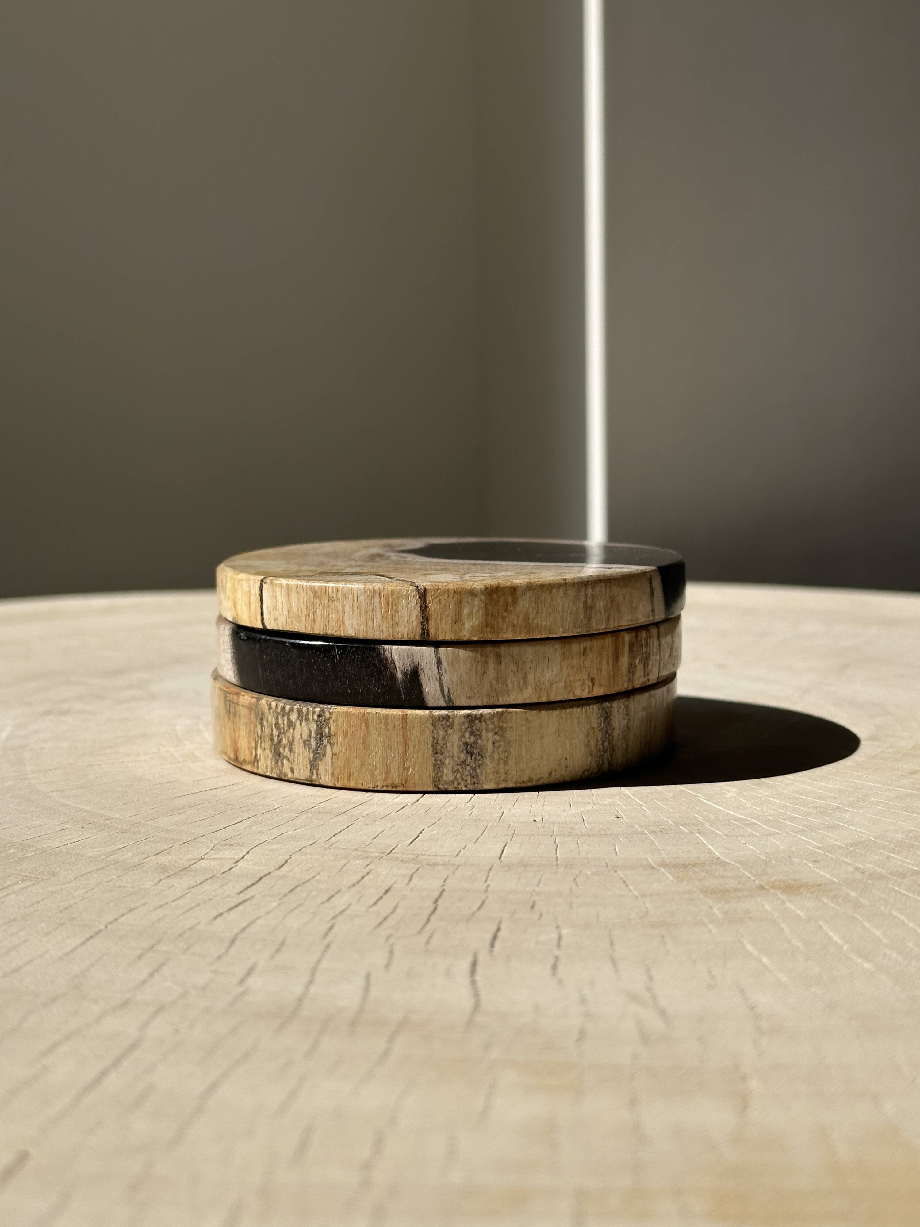 Set of 3 fossilized wood coasters (clear)