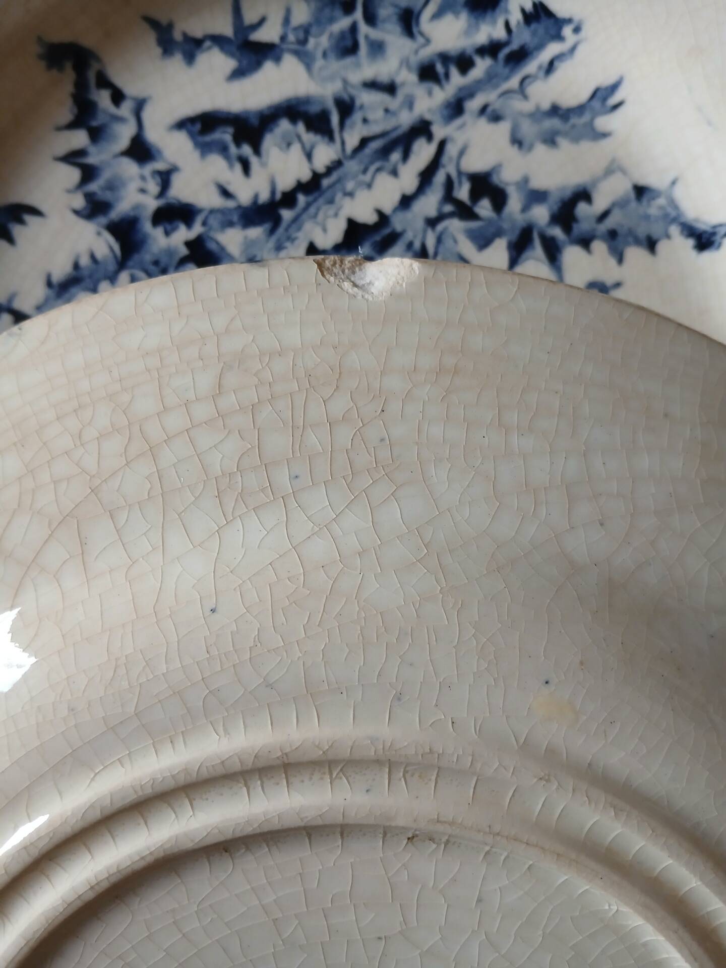 14 dinner plates + 2 "Chardons" dishes from Gien