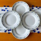 Antique flat earthenware plates from Saint-Amand (North)