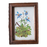 Botanical board frame