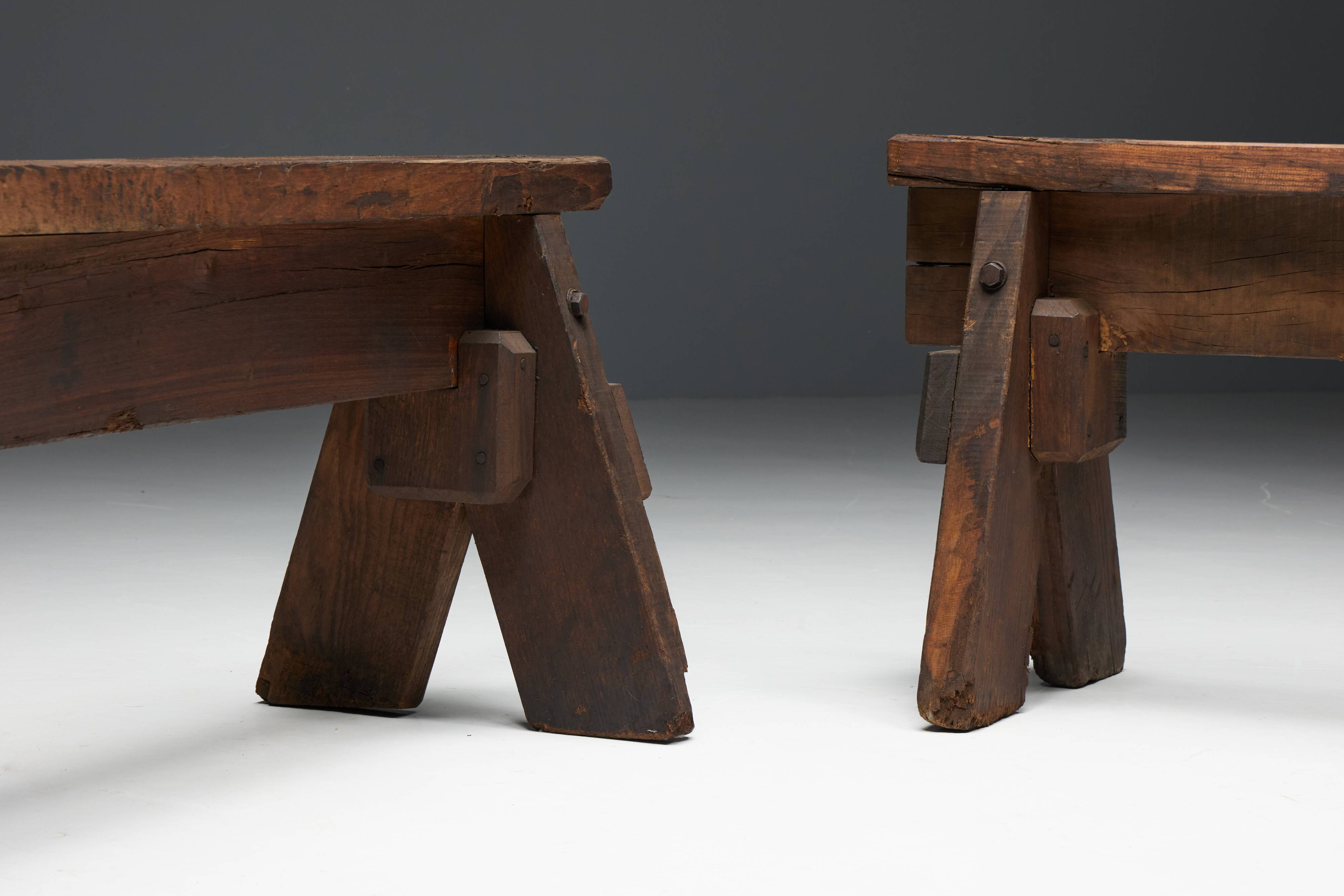 Brutalist Folk Art Benches, France, 19th Century