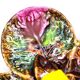 Vintage Vallauris A.M. plate – quadrilobed enamelled bowl with lemon – 50s