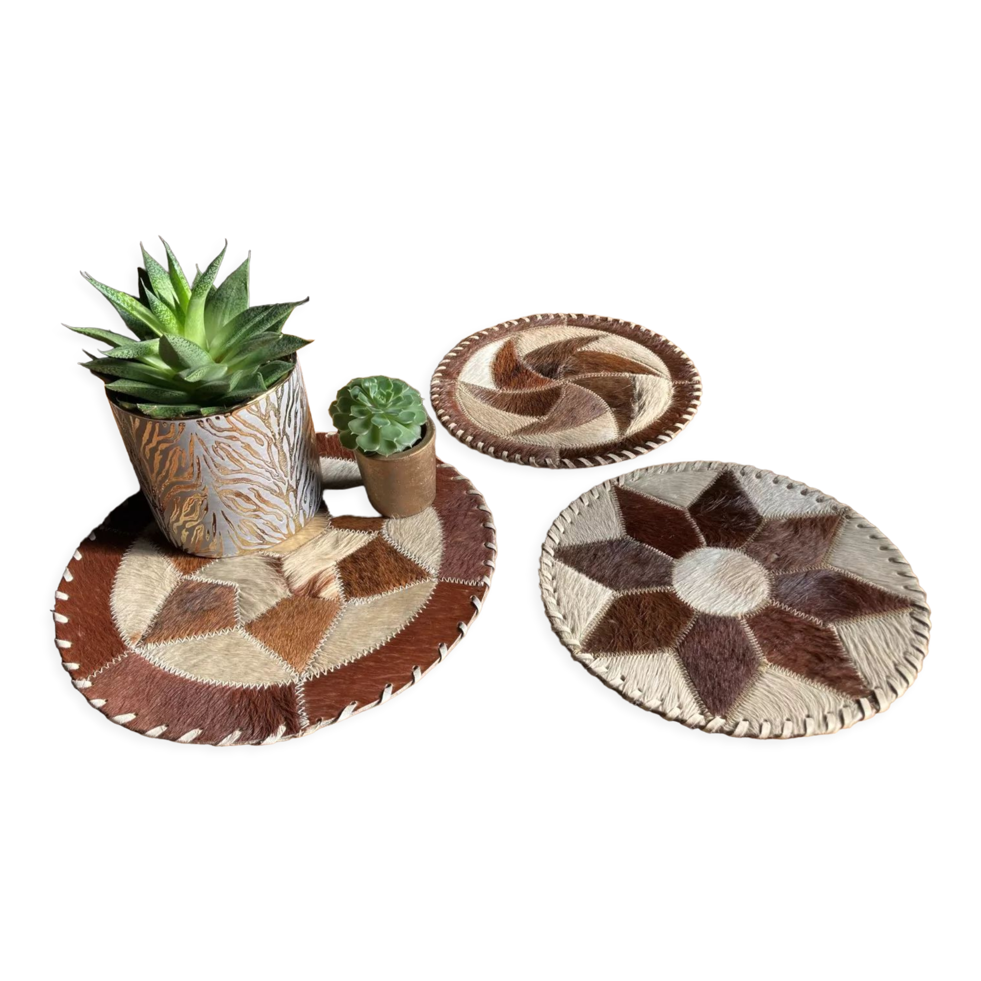 Decorative skin trivets