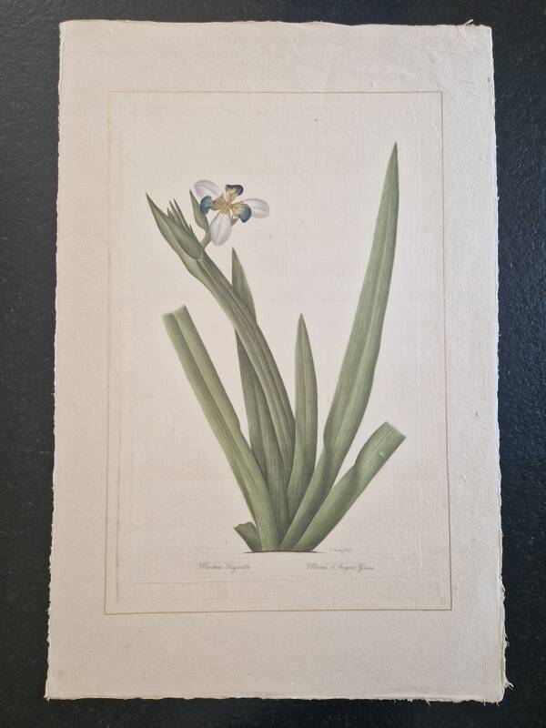 La Roche Laffitte (Born in 1943) - Watercolour drawing on silk - Morée