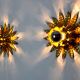 Paire d'appliques " Soleil" par Ferro Arte, midcentuy, Espagne