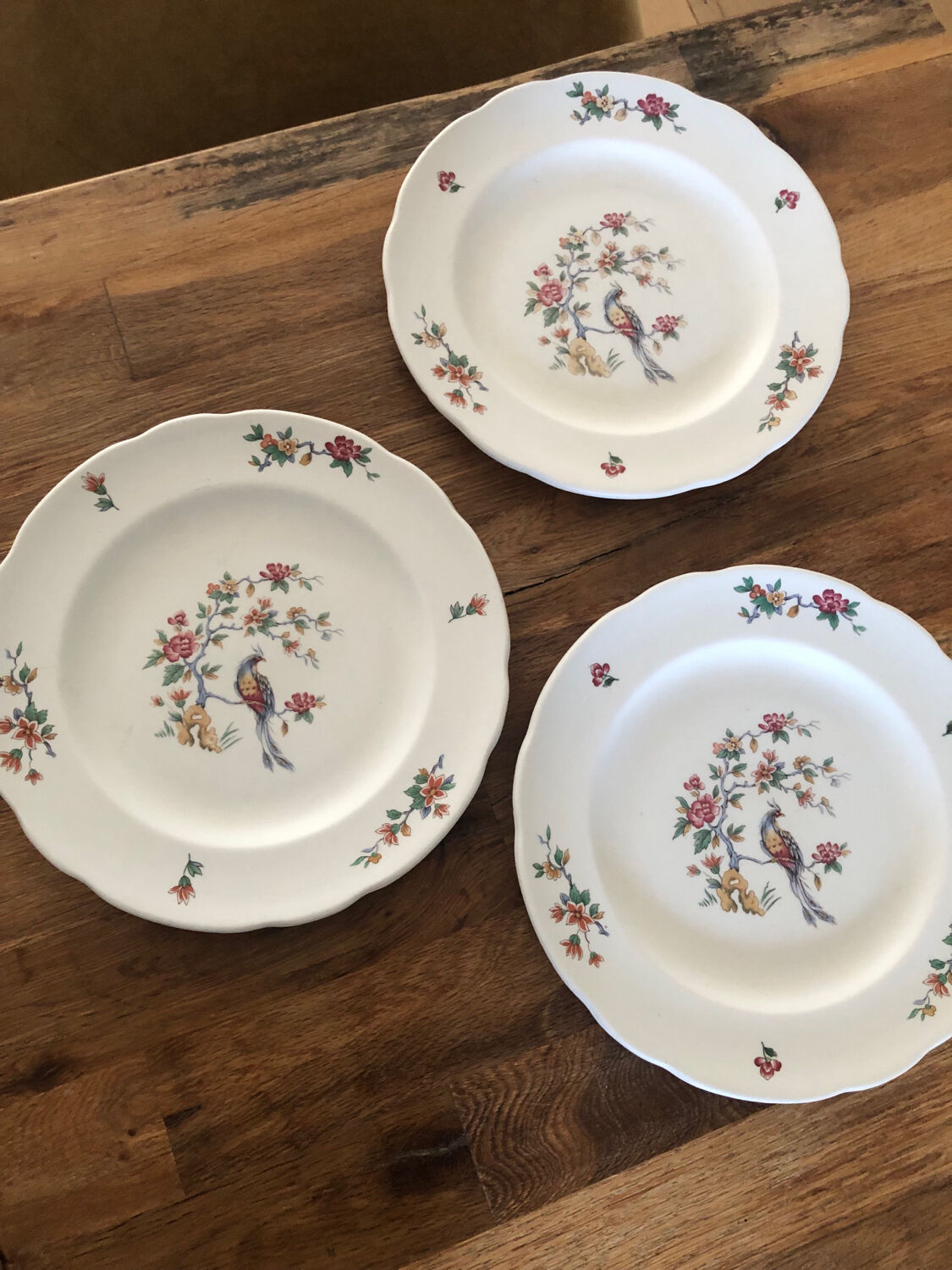 Antique Art Nouveau Pyroblan porcelain plates