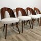 Dining Chairs by Antonin Suman, 1960s, Set of 4