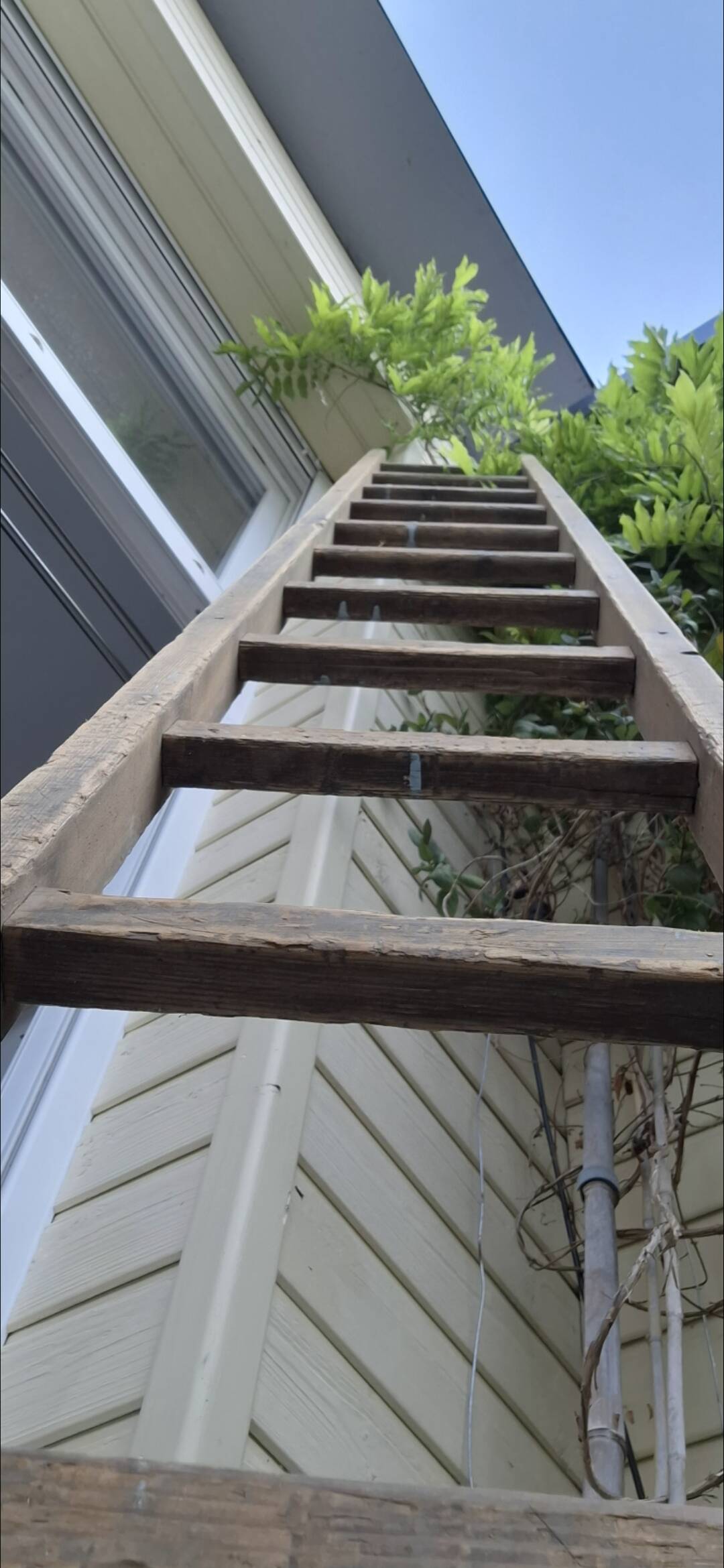 Renovated miller's ladder