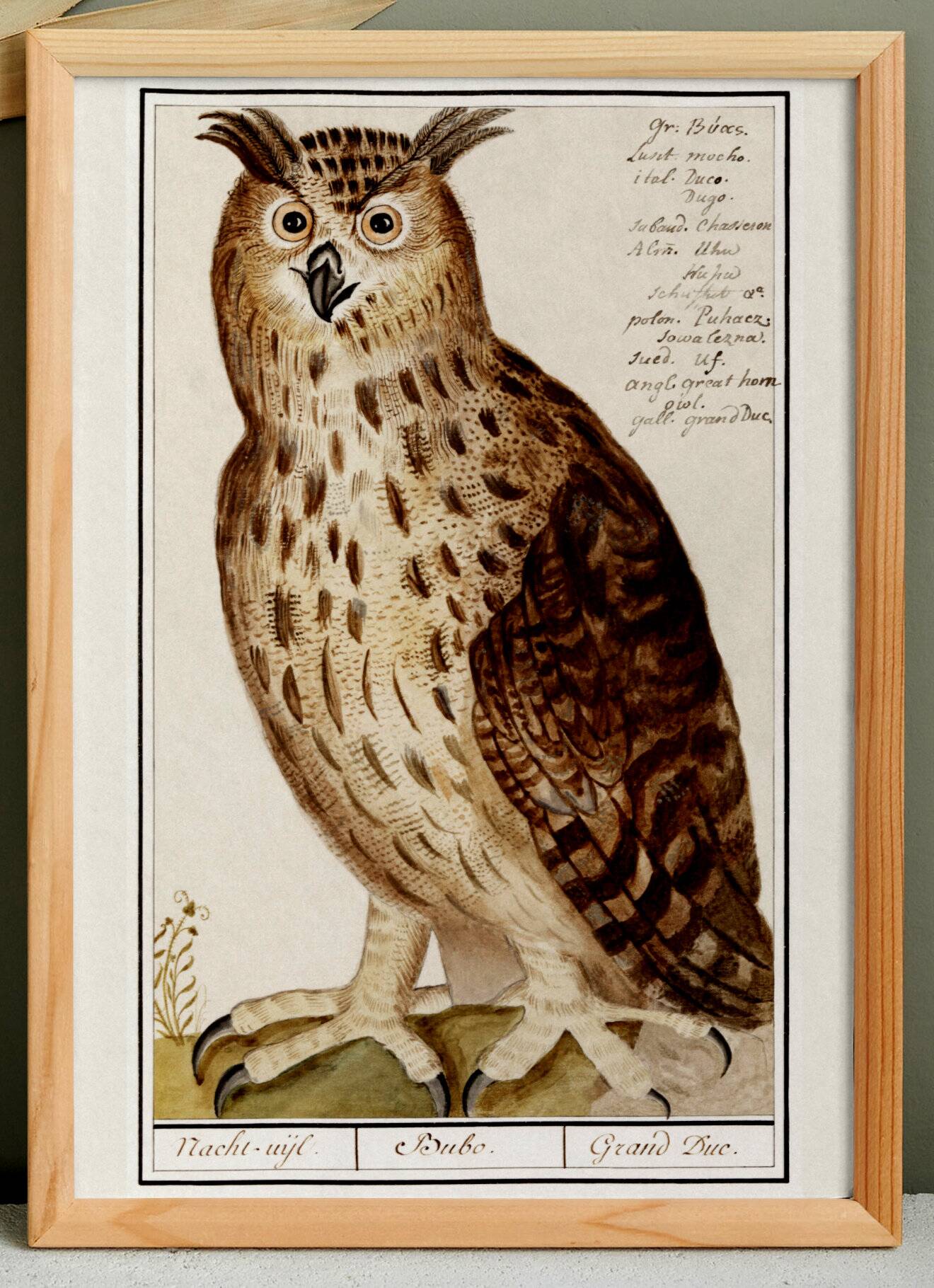 Small poster about the Grand Duke, after an old engraving from 1610.