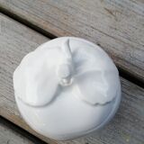 White apple candy