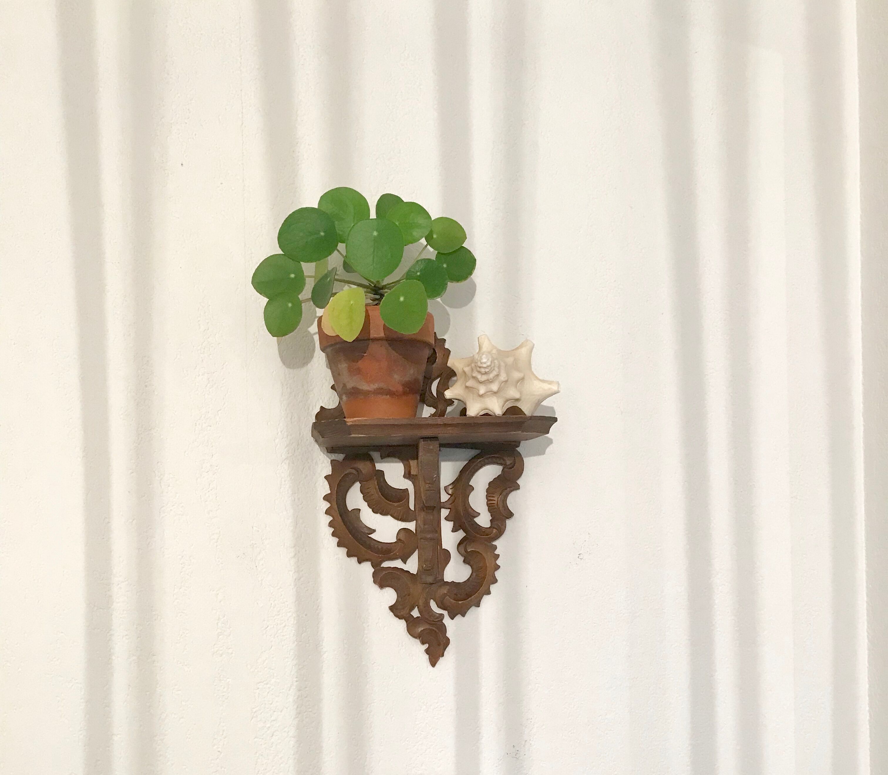 Farm wooden wall shelf