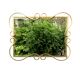 Miroir Hollywood Regency biseauté en aluminium anodisé doré