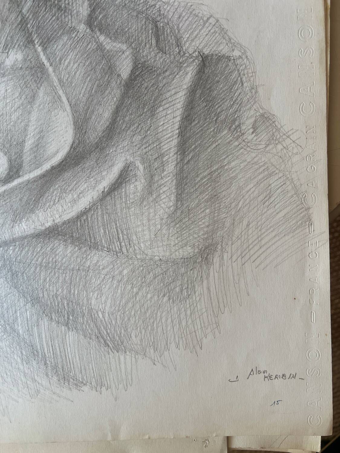 Fine art pencil portrait