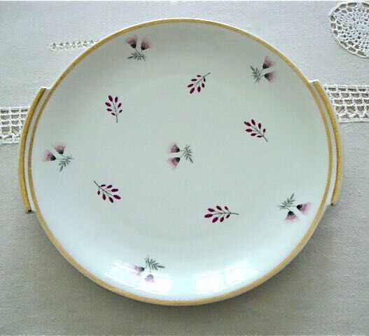 Set 12 plates and 1 porcelain dessert dish