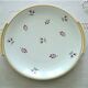 Set 12 plates and 1 porcelain dessert dish