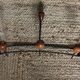 Double wrought iron coat rack with 3 double wooden ball hooks