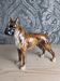 Porcelain Boxer Dog, Goebel, Germany, 1973