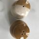 Ceramic salt and pepper shaker set