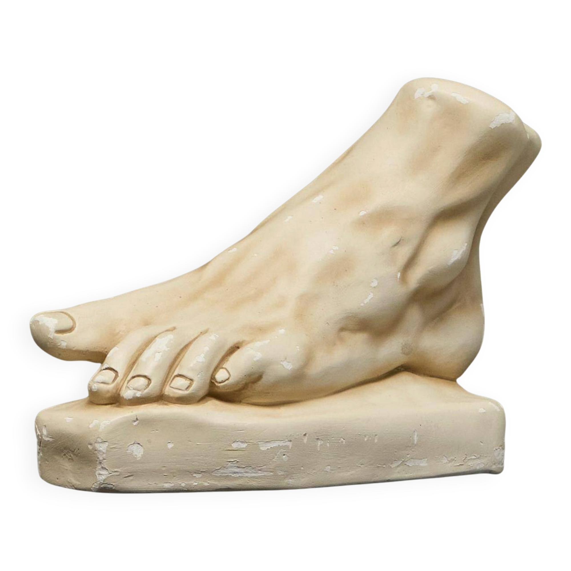 Anatomical study of a plaster foot from the 1950s.