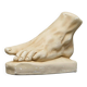 Anatomical study of a plaster foot from the 1950s.