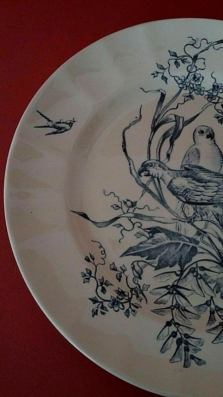 Plate Longchamp Earth model railway scenery parakeets Congo
