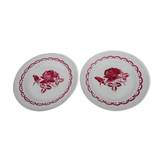 Two flat plates 'Digoin'