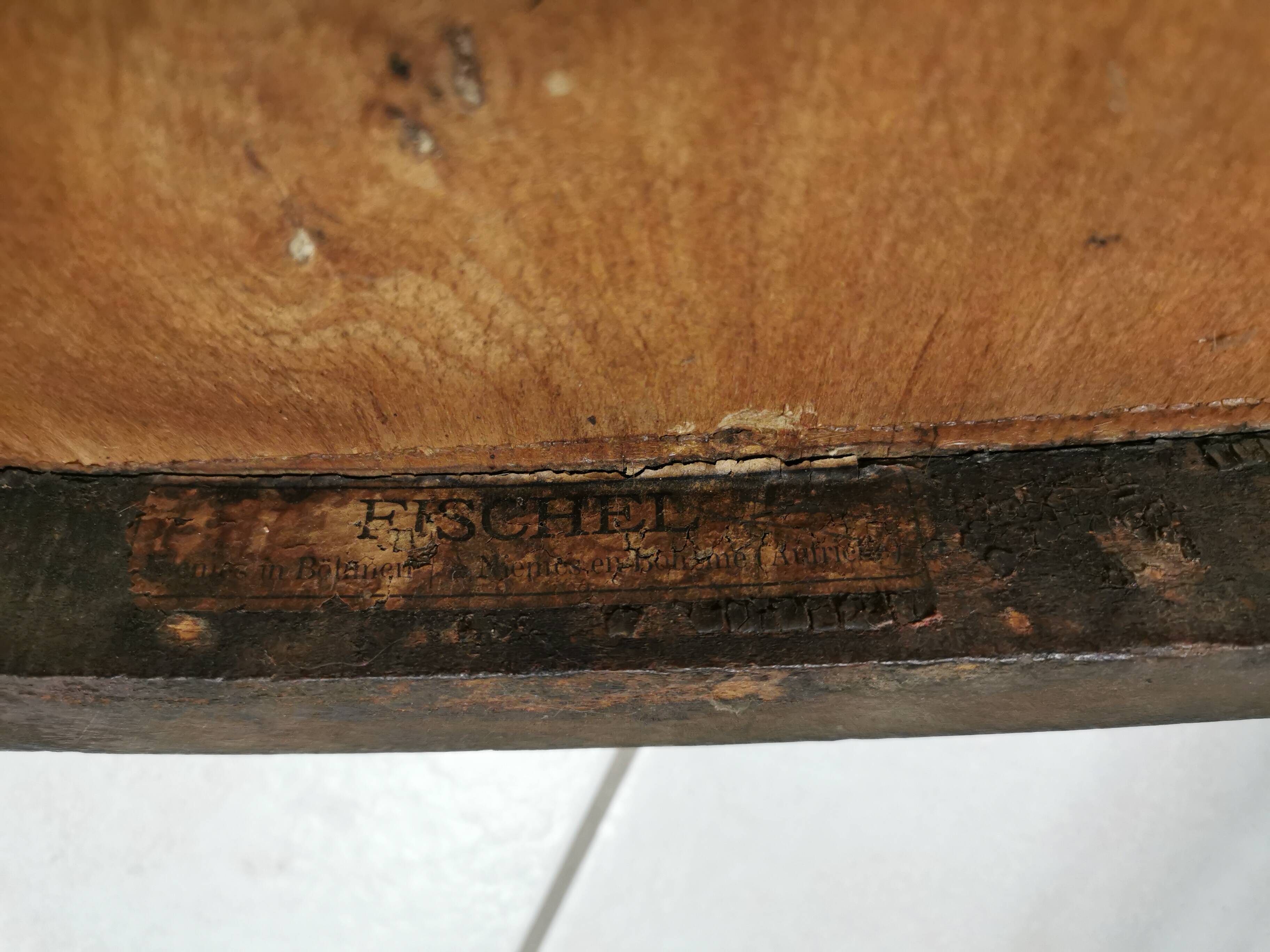 Old fischel armchair, bentwood chair