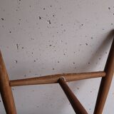 Two Scandinavian Chairs by Yngve Ekstrom for Pastoe 1960