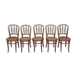 Suite 5 chairs of curved wooden Fischel bistro