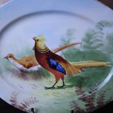 Antique large oval Limoges porcelain dish with painted pheasant decoration.