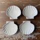 Scallops x4