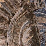 Very rare and large wall tile from Tue Poulsen 1970