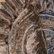 Very rare and large wall tile from Tue Poulsen 1970
