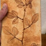Ceramic Vase Vallauris Raymonde Leduc Herbarium Vintage
