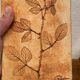 Ceramic Vase Vallauris Raymonde Leduc Herbarium Vintage