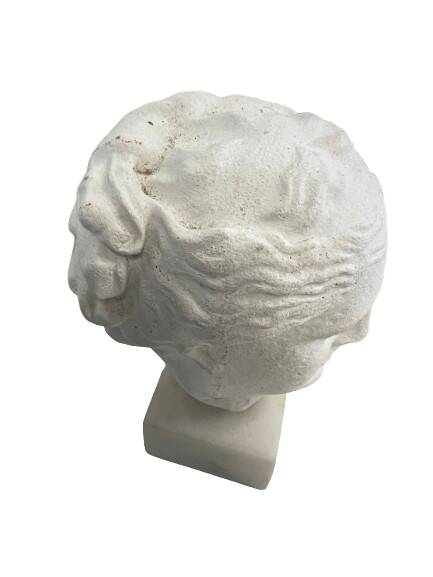 Stone head on marble base