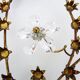 Magnificent vintage Italian wall light with Swarovski crystal, 1970s