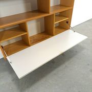 Deens Domino Mobler kast met klepdeur
