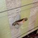 Commode RE