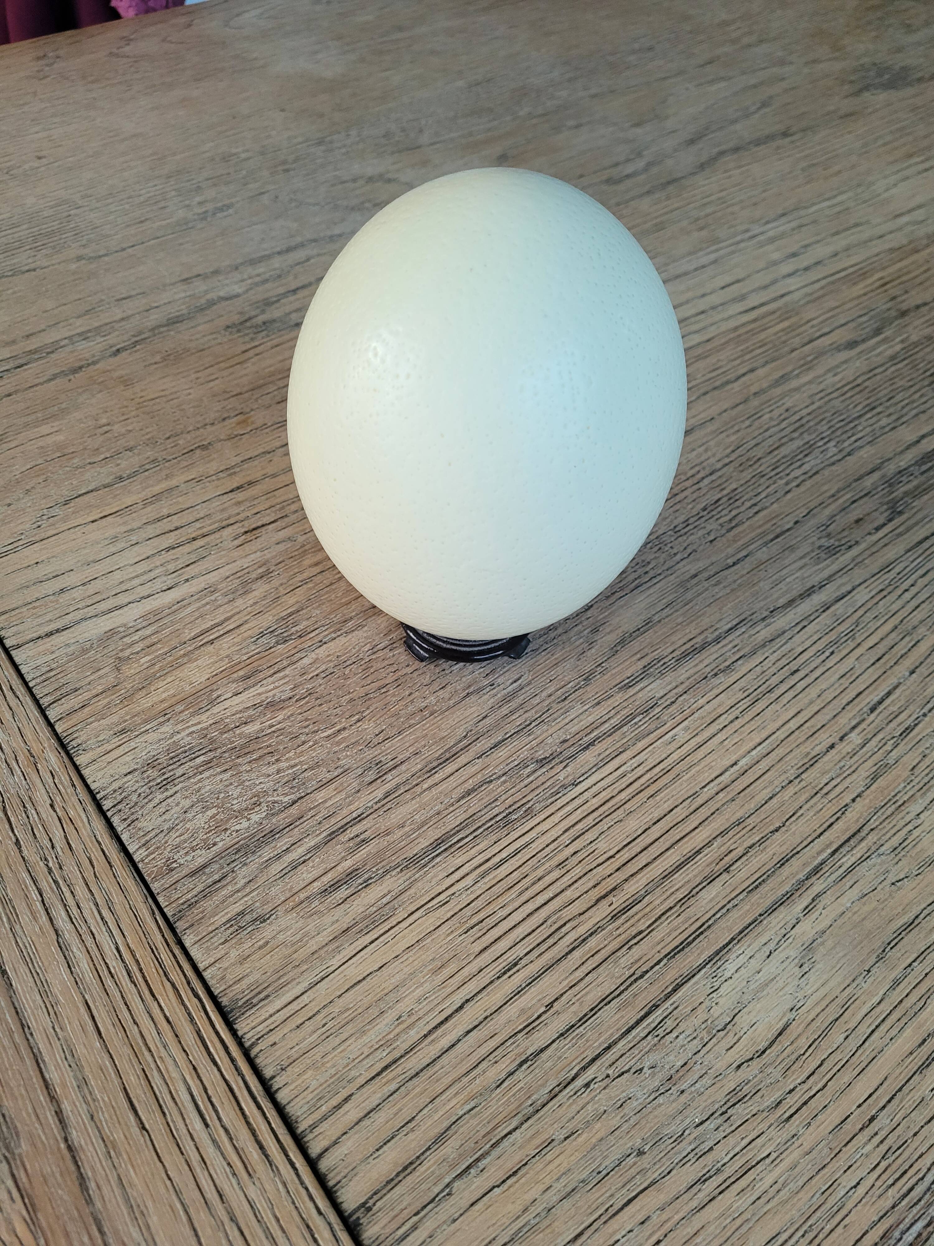 Ostrich egg with support