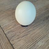 Ostrich egg with support
