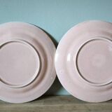 Set of 2 vintage speckled pink plates