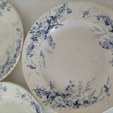 Creil Montereau Plates Linotte Model