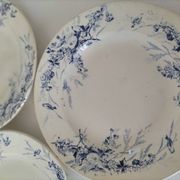 Assiettes Creil Montereau Modèle Linotte