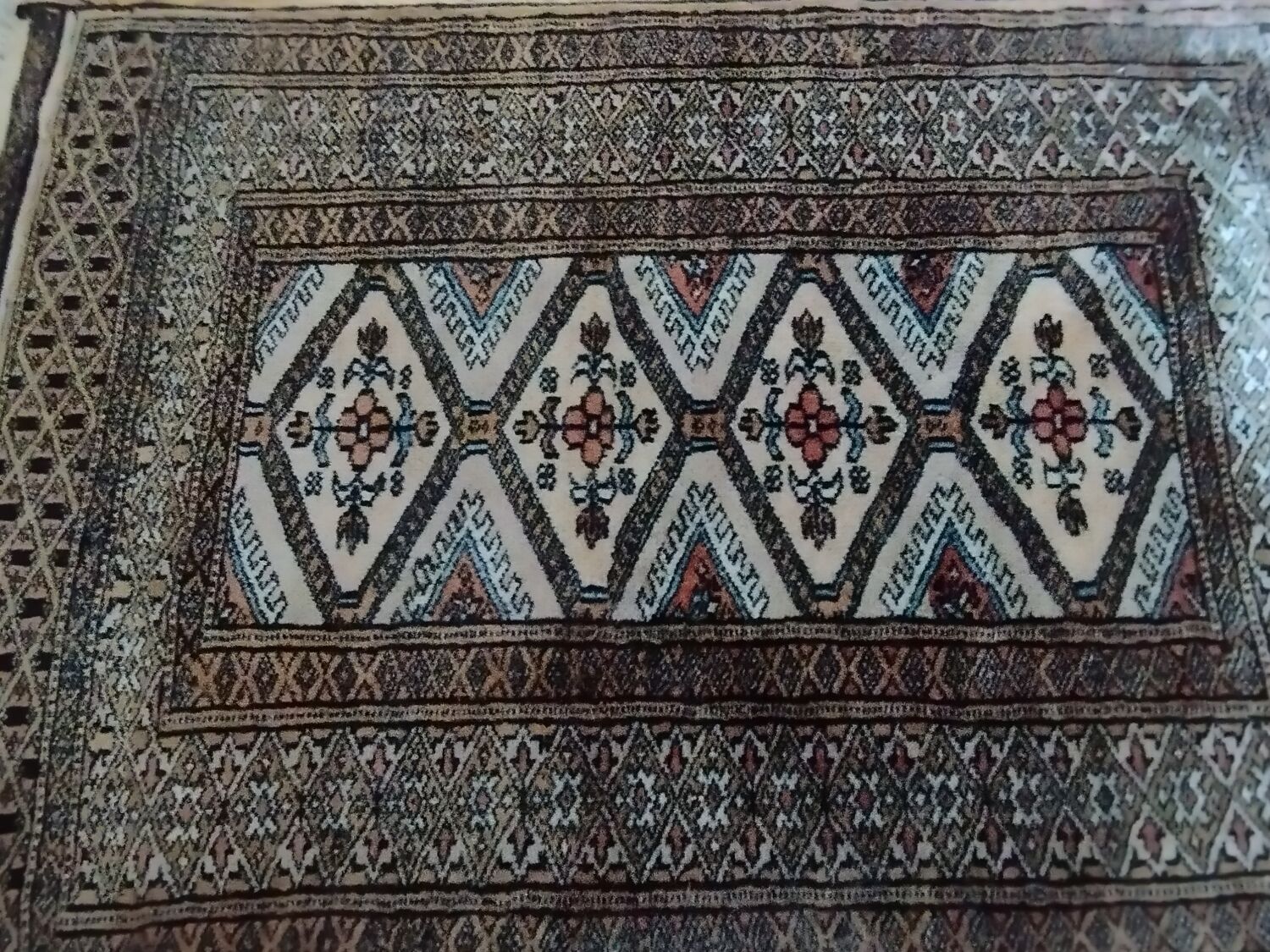 Handmade wool Pakistan rug