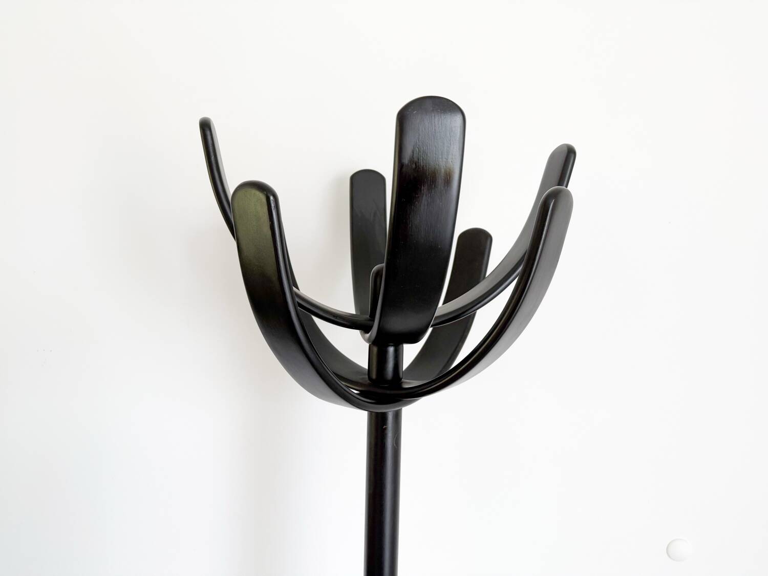 Cactus coat rack by Mauro Pasquinelli, Italy 2970