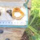 Hand-painted Porcelain Black Swan Salt Cellars Set in original box