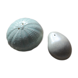 Salt and pepper shaker shells